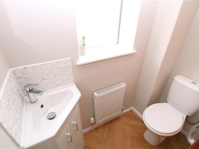 Picture 23